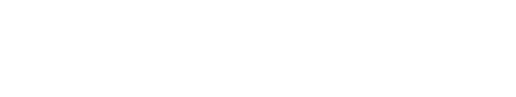 Pista (Early-Stage Startup)